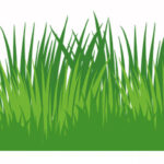 Geapack utilizza cartoncino contenente fino al 50% di fibre naturali ad alta velocità di crescita